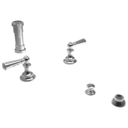  Sutton Vertical Spray Bidet Faucet - Stainless Steel - PVD