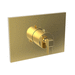 Newport Brass N3-3144TS/24 Polished Gold - PVD Thermostatic Valve Trim