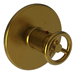 Newport Brass N3-2924TR/24S Satin Gold Thermostatic Valve Trim