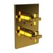 Newport Brass N3-3153TS/24 Polished Gold - PVD Thermostatic / Volume Control Trim