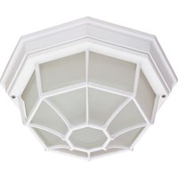 Flush Mount Ceiling Light