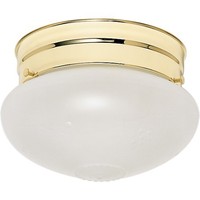 Flush Mount Ceiling Light