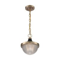 Down Light Pendant 10" Width Down Light Pendant 10" Width