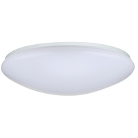  Flush Mount Ceiling Light - White