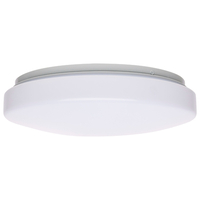 Flush Mount Ceiling Light 11-1/2" Width Flush Mount Ceiling Light 11-1/2" Width