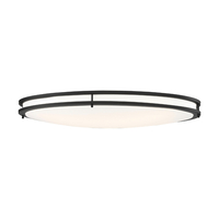  Flush Mount Ceiling Light - Matte Black