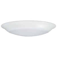  Flush Mount Ceiling Light - White