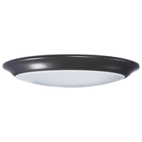 Flush Mount Ceiling Light 9-1/2" Width