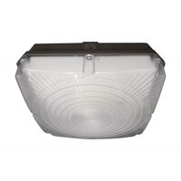 Ceiling Mounted Light 8-1/2" Width