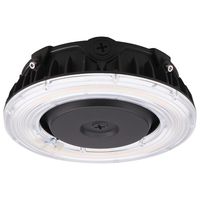 Ceiling Mounted Light 10" Width