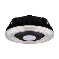 Ceiling Mounted Light 11" Width