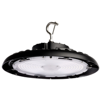  Flush Mount Ceiling Light - Black