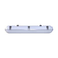 Ceiling Mounted Light 5" Width