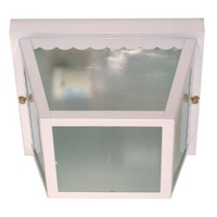 Ceiling Mounted Light 9-1/4" Width