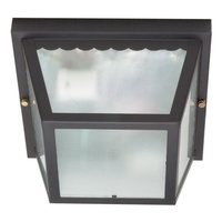 Ceiling Mounted Light 9-1/4" Width