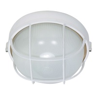 Outdoor Wall Light 10" Height
