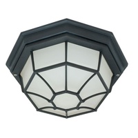 Ceiling Mounted Light 11-3/8" Width