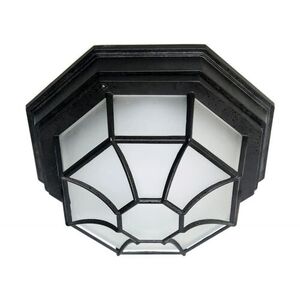 N621420 Spider Cage Flush Mount Ceiling Light - Black