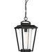 Nuvo Lighting N606514 Aged Bronze / Glass Outdoor Hanging Lantern