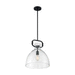 Nuvo Lighting N607152 Matte Black Down Light Pendant