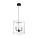 Nuvo Lighting N607277 Matte Black Entrance / Foyer Pendant