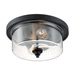 Nuvo Lighting N607290 Matte Black Flush Mount Ceiling Light
