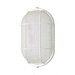 Nuvo Lighting N621410 White 1 Bulb Wall Sconce