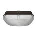 Nuvo Lighting N65149 Bronze Outdoor Ceiling Mounted Light