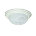 Nuvo Lighting N60222 Textured White / Alabaster Flush Mount Ceiling Light