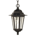 Nuvo Lighting N60993 Textured Black Outdoor Hanging Lantern