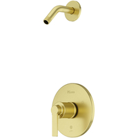 Shower Faucet Trim Kit