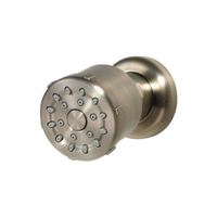  Single Function Body Spray Shower Accessory - Brushed Nickel