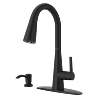 Pull-Out Spray Kitchen Faucet Pull-Out Spray Kitchen Faucet