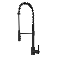 Pull-Out Spray Kitchen Faucet Pull-Out Spray Kitchen Faucet