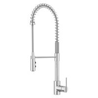 Pull-Out Spray Kitchen Faucet