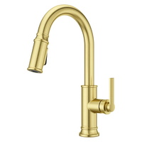  Colfax Pull-Out Spray Kitchen Faucet - Brushed Gold