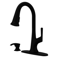 Pull-Out Spray Kitchen Faucet Pull-Out Spray Kitchen Faucet
