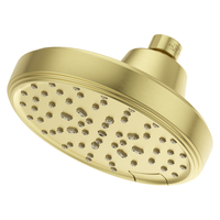 Shower Head