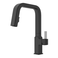 Pull-Out Spray Kitchen Faucet Pull-Out Spray Kitchen Faucet