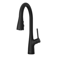 Pull-Out Spray Kitchen Faucet 1 Hole Pull-Out Spray Kitchen Faucet 1 Hole
