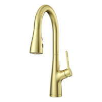 Pull-Out Spray Kitchen Faucet 1 Hole