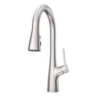 Neera Pull-Out Spray Kitchen Faucet - Stainless Steel