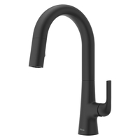 Pull-Out Spray Kitchen Faucet