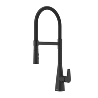 Pull-Out Spray Kitchen Faucet