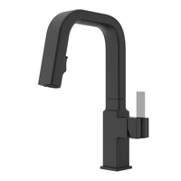 Pull-Out Spray Kitchen Faucet