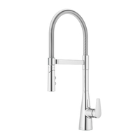 Pull-Out Spray Kitchen Faucet