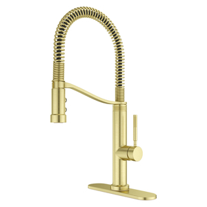 PGT529BRUBG Bruton Pull-Out Spray Kitchen Faucet - Brushed Gold PGT529BRUBG Bruton Pull-Out Spray Kitchen Faucet - Brushed Gold