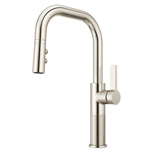 PGT529MTD Montay Pull-Out Spray Kitchen Faucet - Polished Nickel