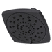 Pfister P973314B Matte Black Shower Head