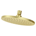 Pfister PUSH01SHWBG Brushed Gold Shower Head
